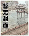 我是一名抬棺匠張九陽林婉